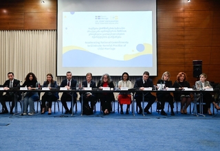 A panel of high-level delegates 