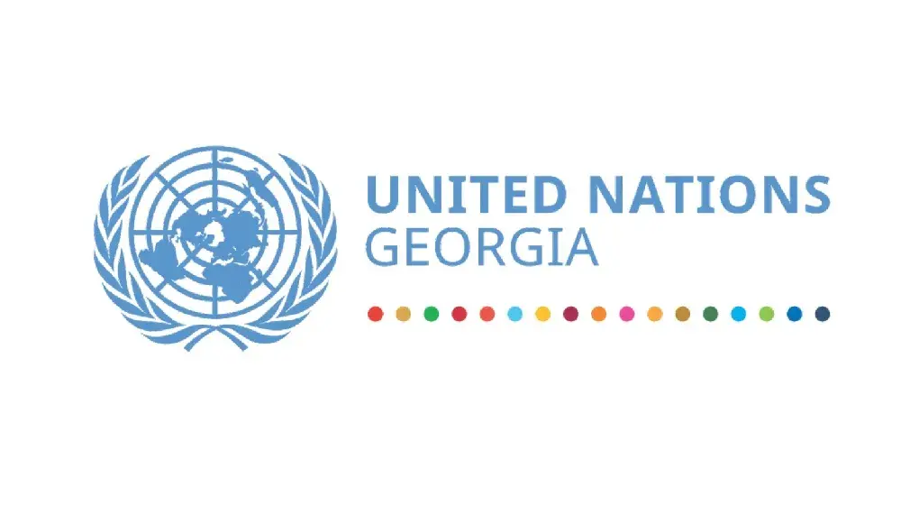 Statement of the United Nations in Georgia  on the draft Law on Transparency of Foreign Influence